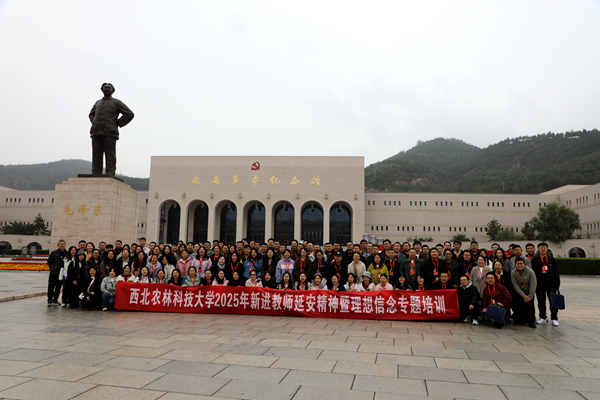 收获如光 照亮新征程